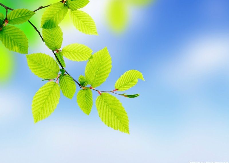 Cloudleaf raises $26 million in series B funding to improve supply chain operations